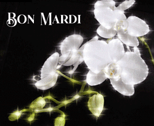 Gif animé Bon mardi fleurs blanches